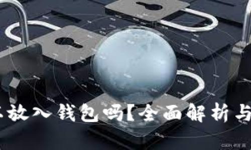 USDT可以放入钱包吗?全面解析与使用指南