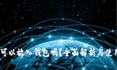 USDT可以放入钱包吗？全面解析与使用指南
