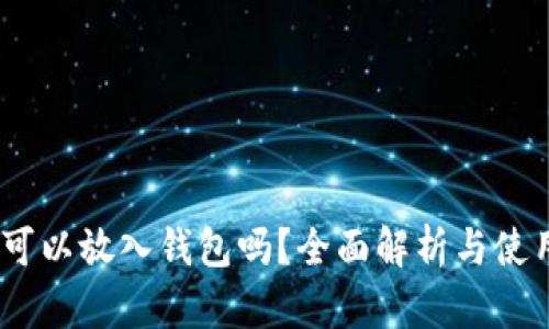 USDT可以放入钱包吗?全面解析与使用指南