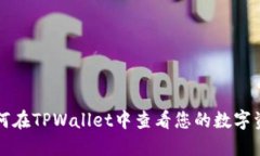 如何在TPWallet中查看您的数字资产