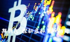比特币早期钱包：探秘虚拟货币的起源与发展