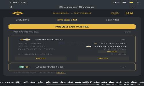 tpwallet资产被盗后还能找回吗?全面解读及解决方案