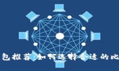 比特币钱包推荐：如何选择合适的比特币钱包