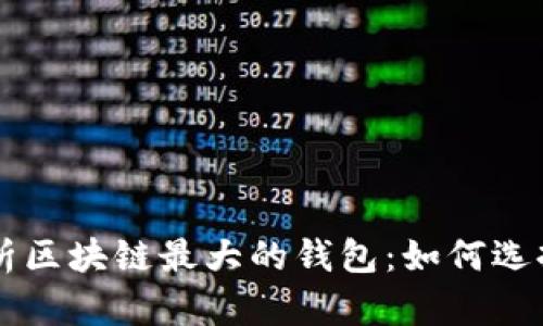 深度解析区块链最大的钱包:如何选择与使用