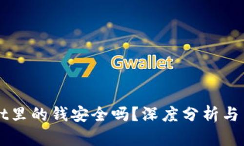 TPWallet里的钱安全吗?深度分析与用户指南