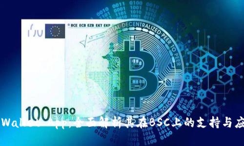 TPWallet App:全面解析其在BSC上的支持与应用