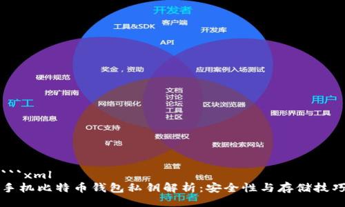 ```xml
手机比特币钱包私钥解析:安全性与存储技巧