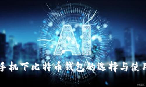 苹果手机下比特币钱包的选择与使用指南