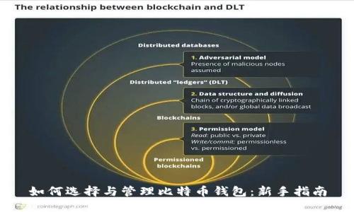 如何选择与管理比特币钱包:新手指南