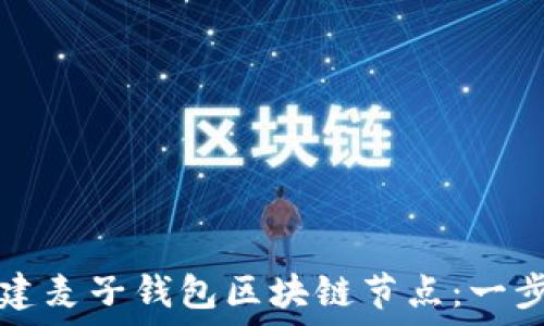 如何搭建麦子钱包区块链节点:一步步指南
