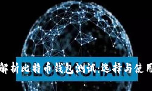 全面解析比特币钱包测试:选择与使用指南