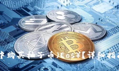 如何在TPWallet中购买柚子币(Eos)?详细指南与常见问题解答