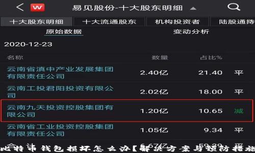 比特币钱包损坏怎么办?解决方案与预防措施