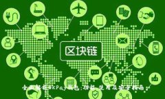 全面解析OKPay钱包：功能、使用及安全指南
