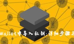 如何在TPWallet中导入私钥：详细步骤与注意事项