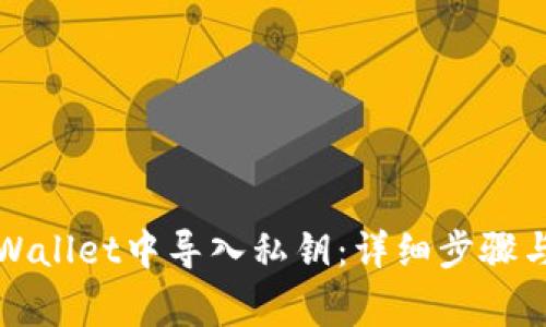 如何在TPWallet中导入私钥:详细步骤与注意事项