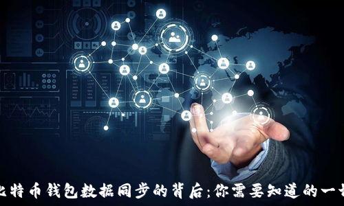 比特币钱包数据同步的背后:你需要知道的一切