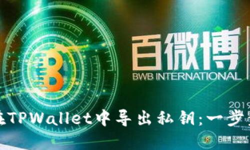 如何在TPWallet中导出私钥：一步步详解