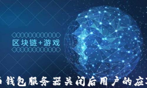 比特币钱包服务器关闭后用户的应对策略
