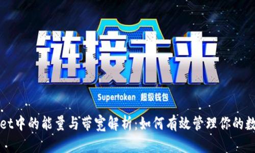 TPWallet中的能量与带宽解析：如何有效管理你的数字资产