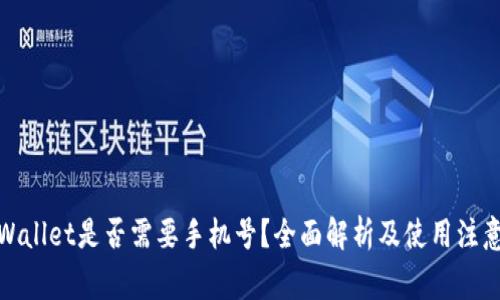 : TPWallet是否需要手机号?全面解析及使用注意事项