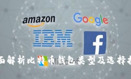 全面解析比特币钱包类型及选择指南