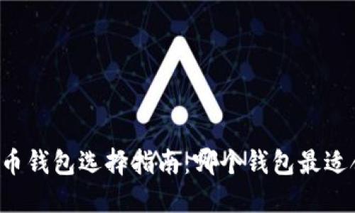 虚拟币钱包选择指南：哪个钱包最适合你？