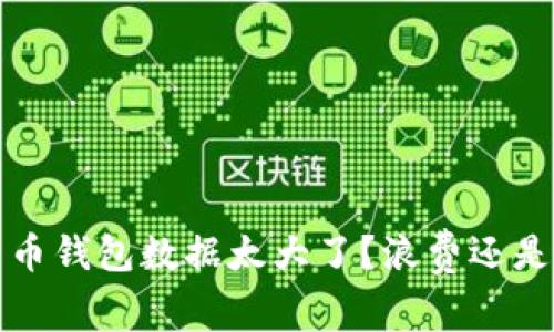 比特币钱包数据太大了?浪费还是安全?