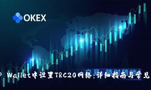 如何在TP Wallet中设置TRC20网络:详细指南与常见问题解答