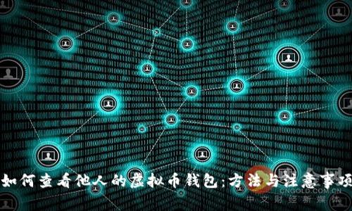 如何查看他人的虚拟币钱包:方法与注意事项