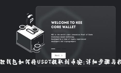 狐狸钱包如何将USDT提取到币安:详细步骤与指南