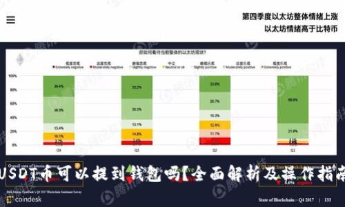 USDT币可以提到钱包吗？全面解析及操作指南