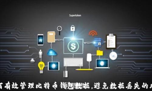 如何有效管理比特币钱包数据,避免数据丢失的风险