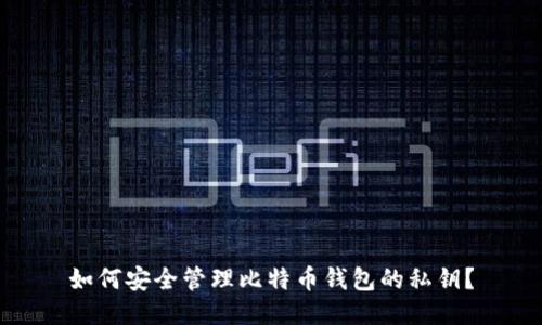 如何安全管理比特币钱包的私钥?
