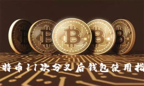 比特币11次分叉后钱包使用指南