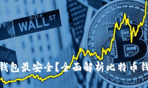 哪个比特币钱包最安全?全面解析比特币钱包的安全性