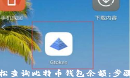 如何轻松查询比特币钱包余额:步骤与技巧
