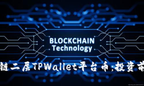 ###
深入解析以太链二层TPWallet平台币:投资前景与技术解析