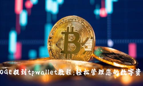 DOGE提到tpwallet教程:轻松管理您的数字资产
