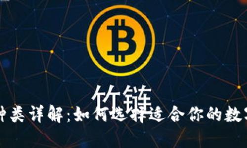 比特币钱包的种类详解:如何选择适合你的数字资产管理工具