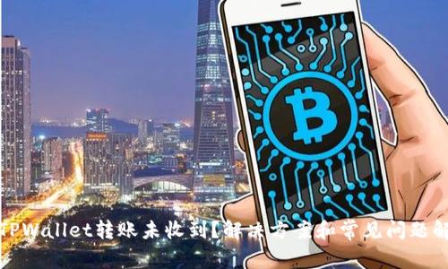 : TPWallet转账未收到?解决方案和常见问题解析
