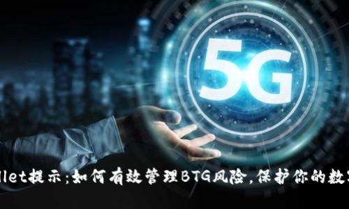TPWallet提示:如何有效管理BTG风险,保护你的数字资产