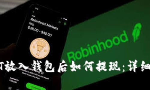 USDT放入钱包后如何提现:详细指南