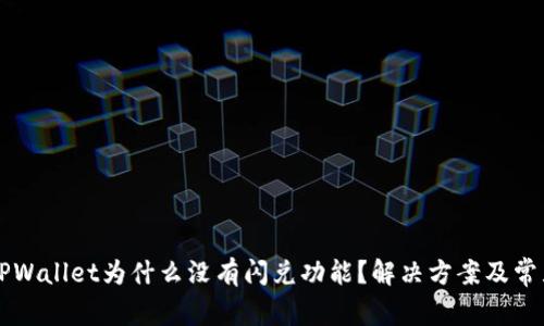 刚注册的TPWallet为什么没有闪兑功能?解决方案及常见问题分析
