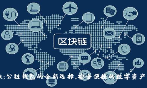 TPWallet:公链钱包的全新选择,安全便捷的数字资产管理工具