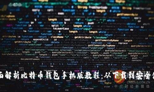 全面解析比特币钱包手机版教程:从下载到安全使用