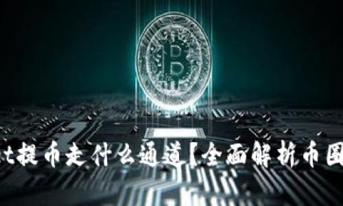 TPWallet提币走什么通道?全面解析币圈提币流程