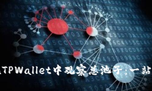 如何在TPWallet中观察总池子:一站式指南