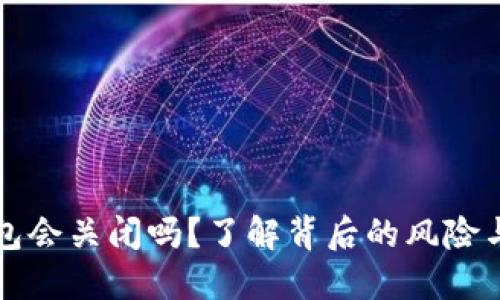 虚拟币钱包会关闭吗?了解背后的风险与应对策略