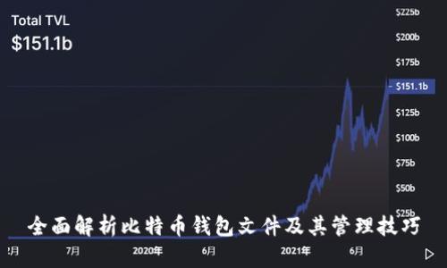全面解析比特币钱包文件及其管理技巧